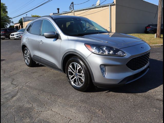 2021 Ford Escape Hybrid SEL