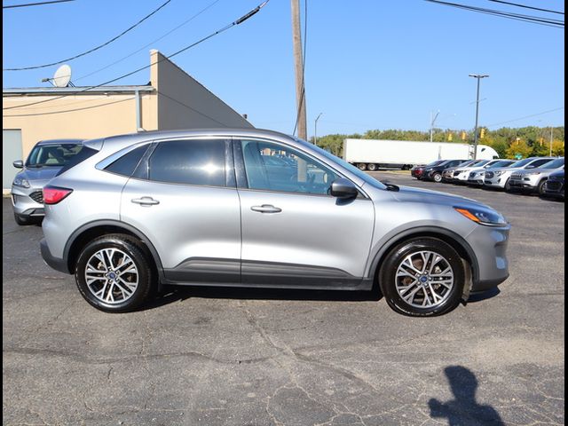 2021 Ford Escape Hybrid SEL