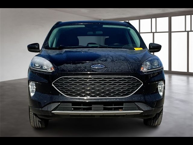 2021 Ford Escape Hybrid SEL