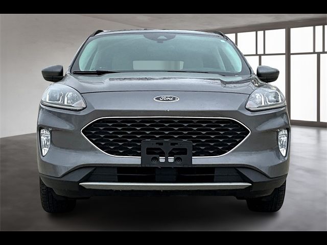 2021 Ford Escape Hybrid SEL