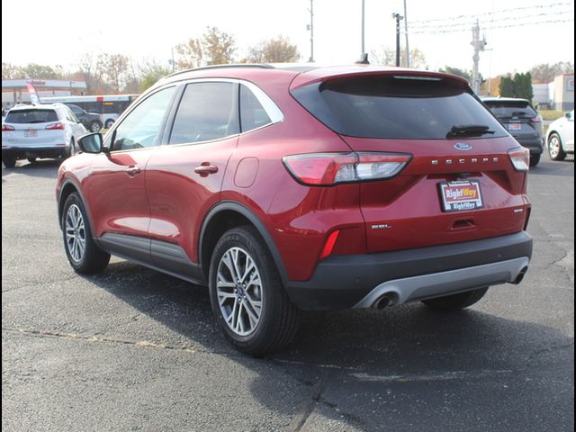 2021 Ford Escape SEL