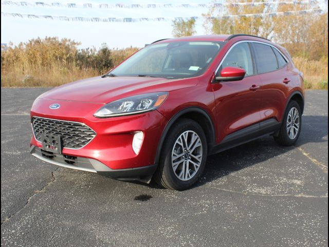 2021 Ford Escape SEL