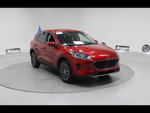 2021 Ford Escape Plug-In Hybrid SE