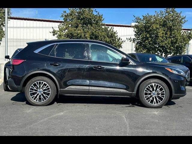 2021 Ford Escape Plug-In Hybrid SEL