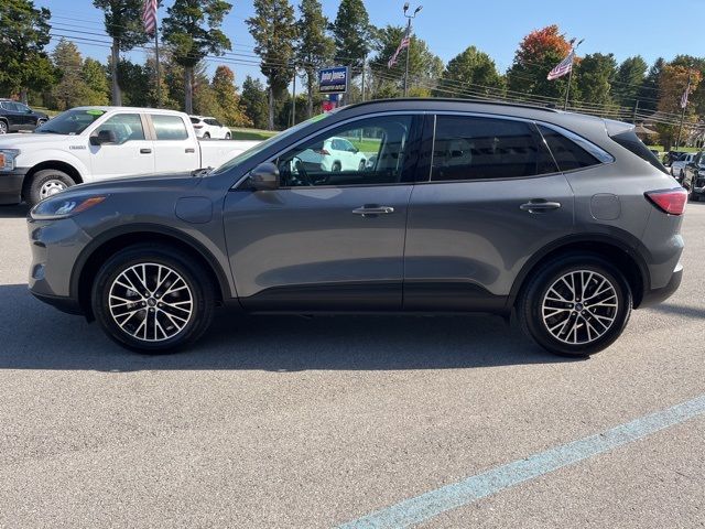 2021 Ford Escape Plug-In Hybrid SEL