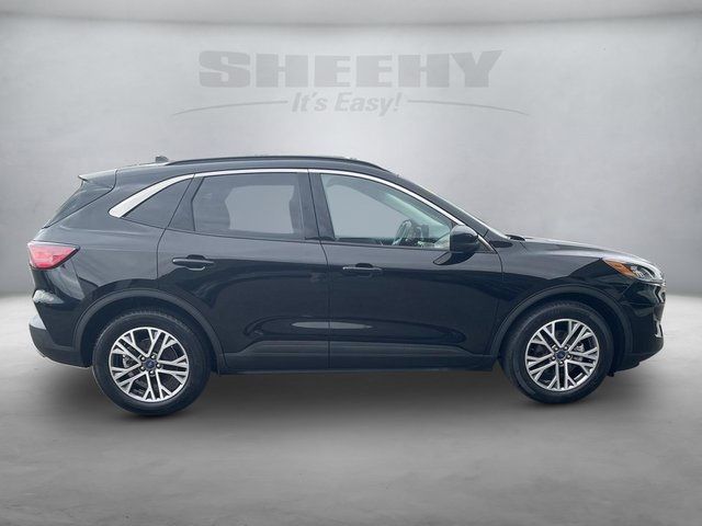 2021 Ford Escape Hybrid SEL