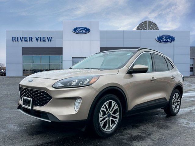 2021 Ford Escape Hybrid SEL