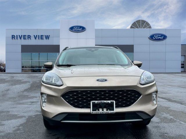 2021 Ford Escape Hybrid SEL