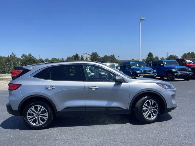 2021 Ford Escape Hybrid SEL