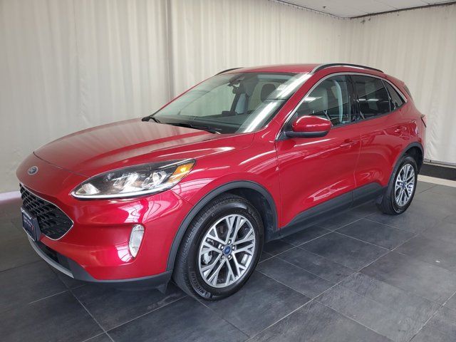 2021 Ford Escape Hybrid SEL