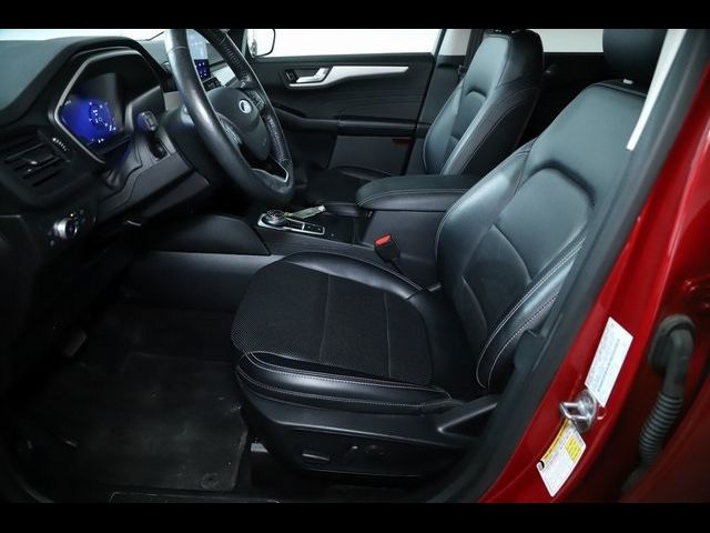 2021 Ford Escape Hybrid SEL