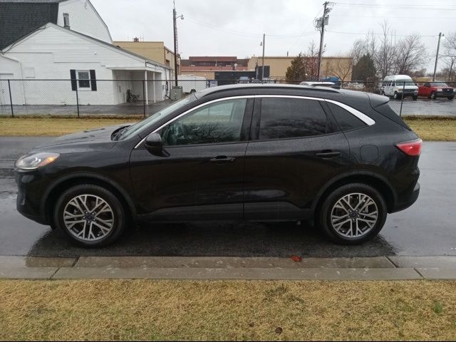 2021 Ford Escape SEL