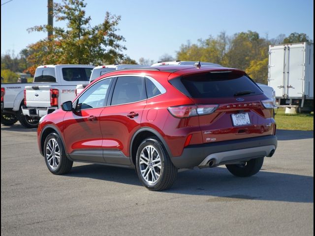 2021 Ford Escape SEL