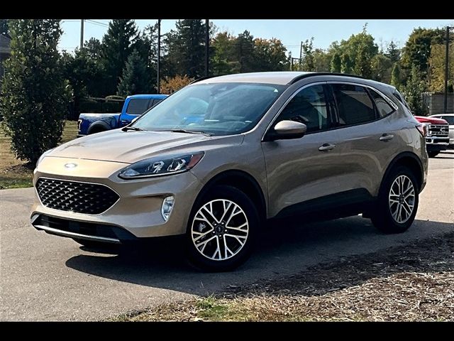 2021 Ford Escape SEL