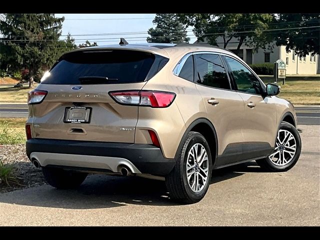 2021 Ford Escape SEL