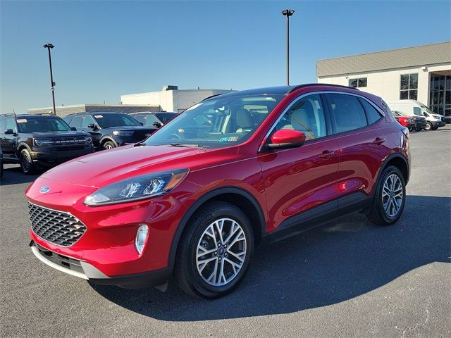 2021 Ford Escape SEL