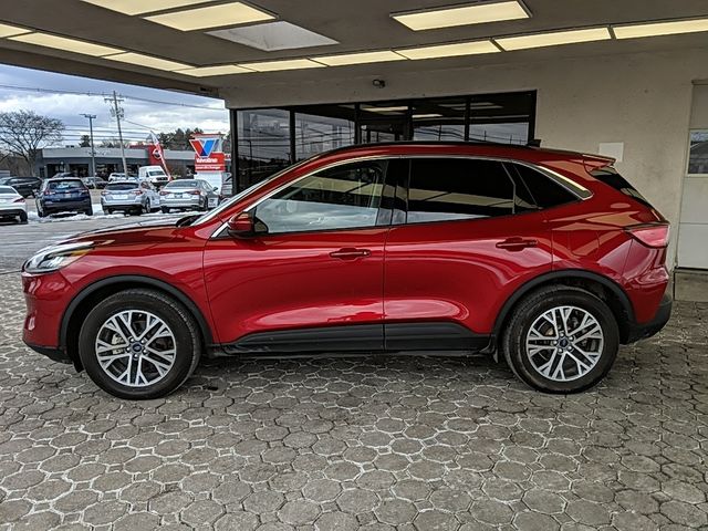 2021 Ford Escape SEL