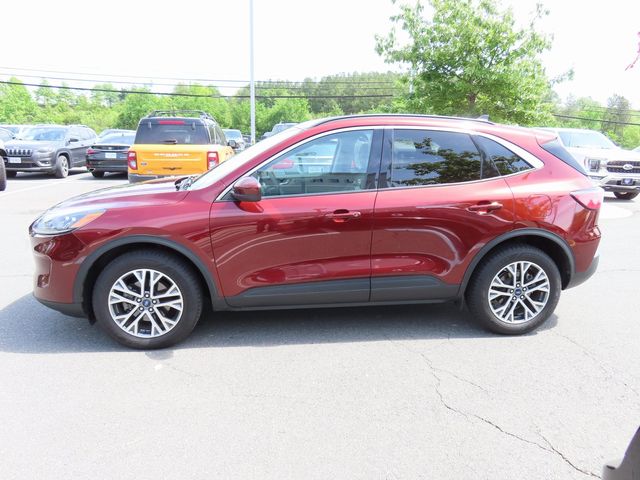 2021 Ford Escape SEL