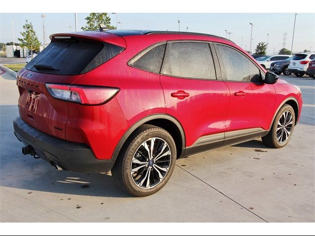 2021 Ford Escape SEL