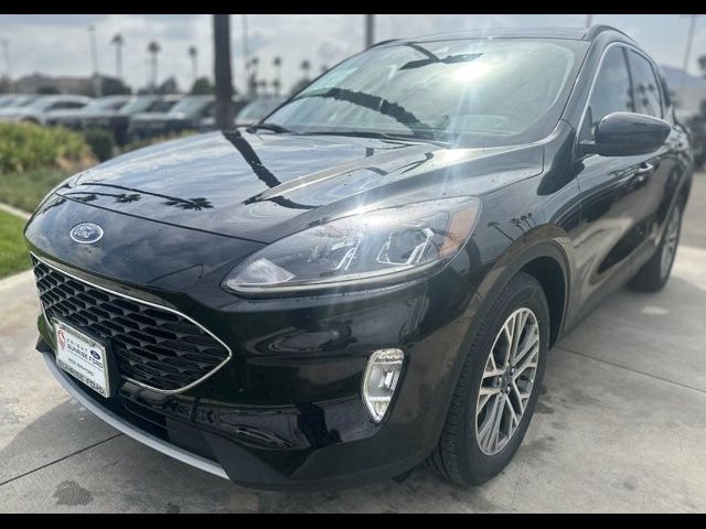 2021 Ford Escape Hybrid SEL