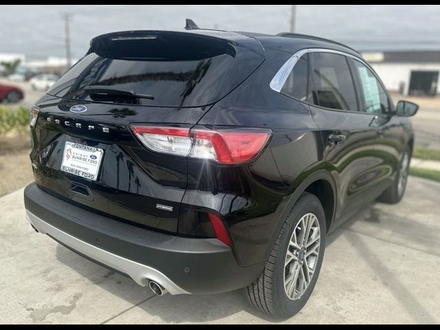 2021 Ford Escape Hybrid SEL