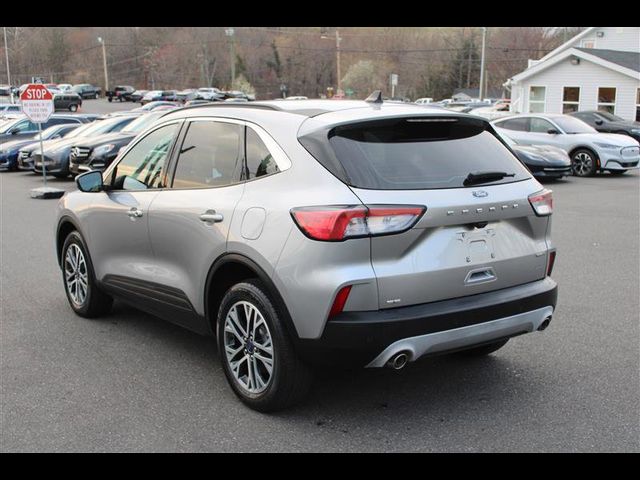 2021 Ford Escape Hybrid SEL