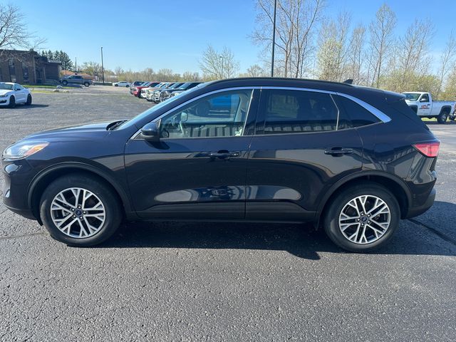 2021 Ford Escape Hybrid SEL