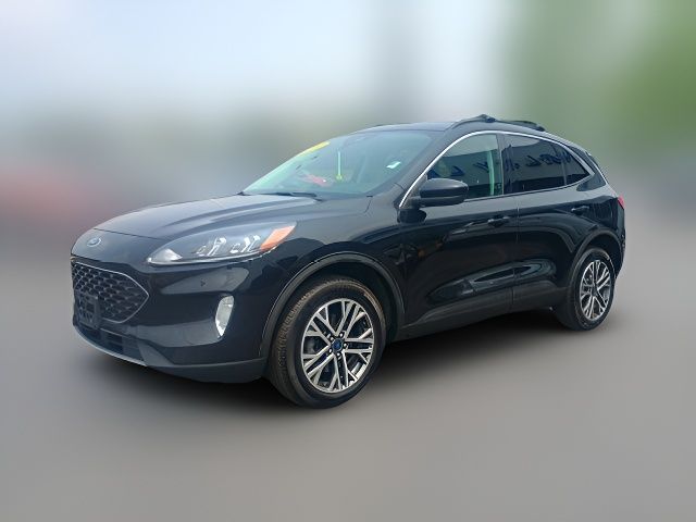 2021 Ford Escape Hybrid SEL
