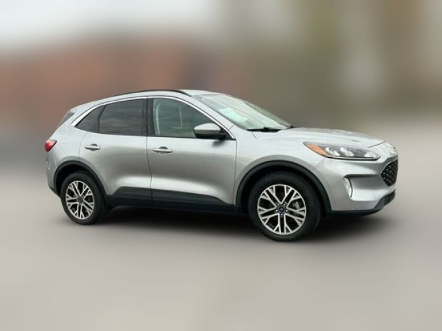 2021 Ford Escape Hybrid SEL