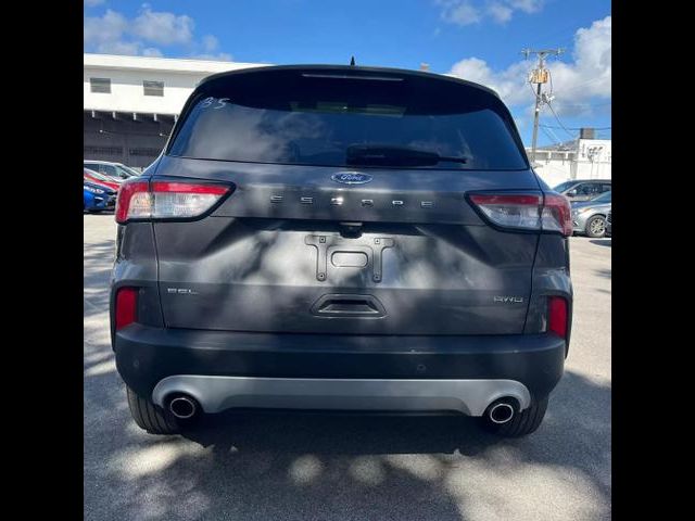 2021 Ford Escape SEL