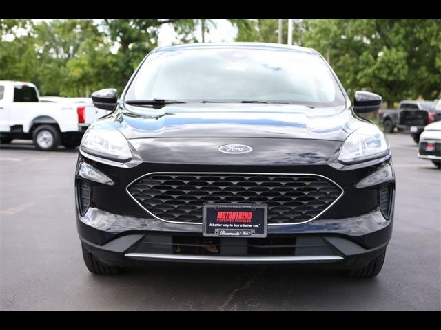 2021 Ford Escape Hybrid SE