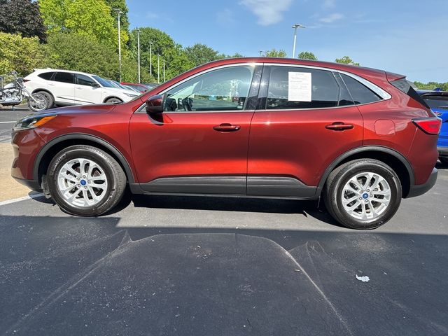 2021 Ford Escape Hybrid SE