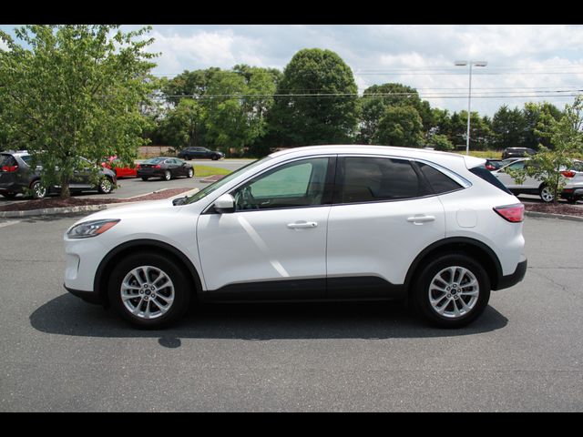 2021 Ford Escape Hybrid SE