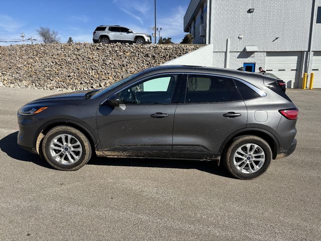 2021 Ford Escape Hybrid SE