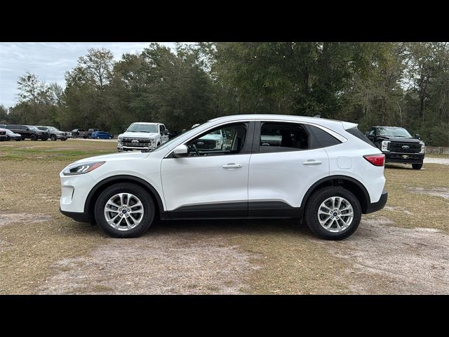 2021 Ford Escape Hybrid SE