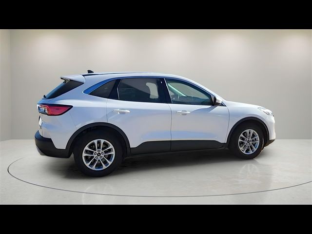 2021 Ford Escape Hybrid SE