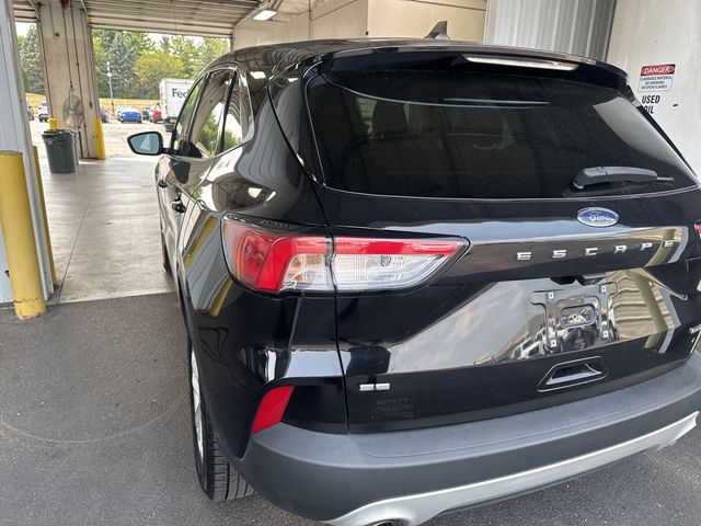 2021 Ford Escape Hybrid SE