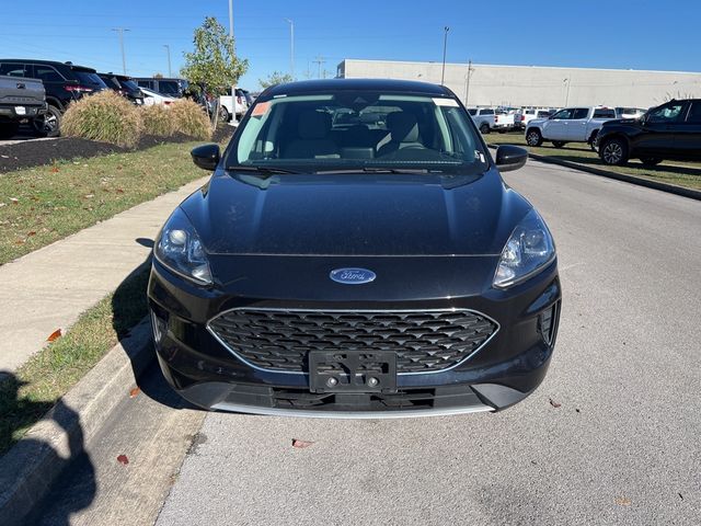 2021 Ford Escape Hybrid SE