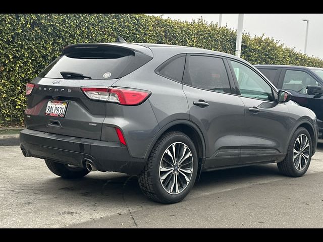 2021 Ford Escape Hybrid SE