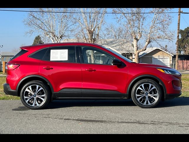 2021 Ford Escape Hybrid SE