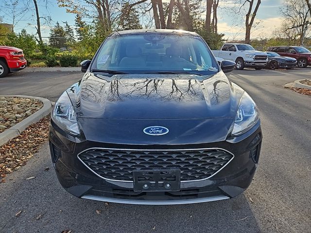 2021 Ford Escape Hybrid SE