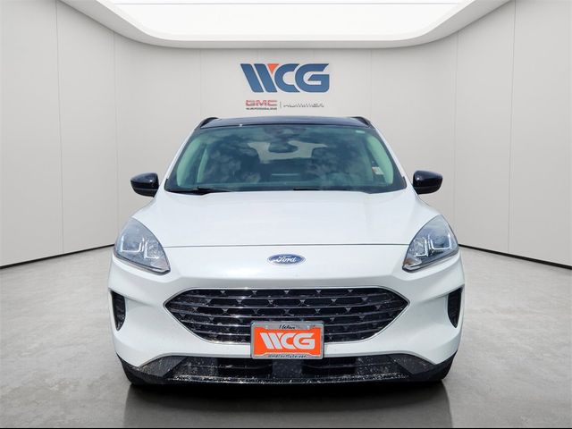 2021 Ford Escape Hybrid SE
