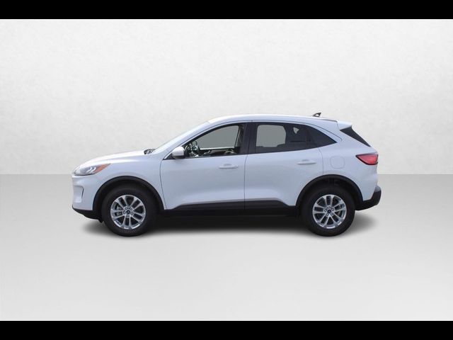 2021 Ford Escape Hybrid SE