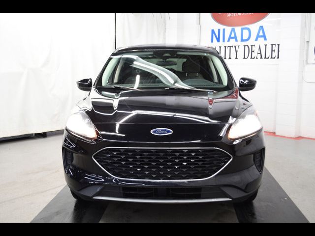 2021 Ford Escape Hybrid SE