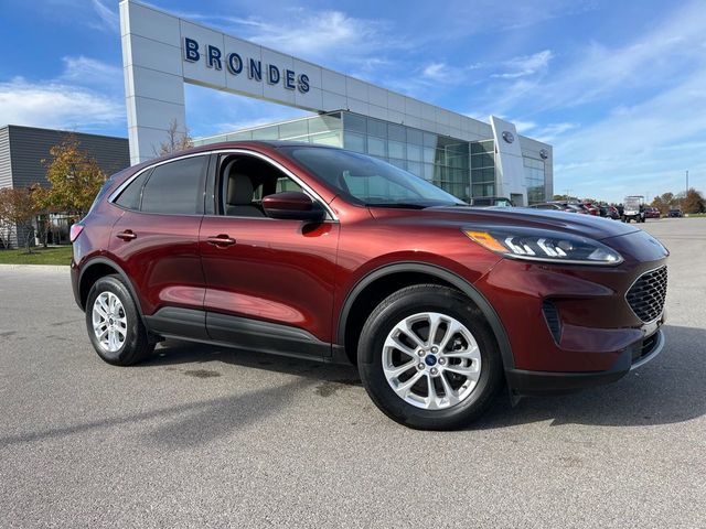 2021 Ford Escape Hybrid SE