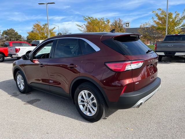 2021 Ford Escape Hybrid SE