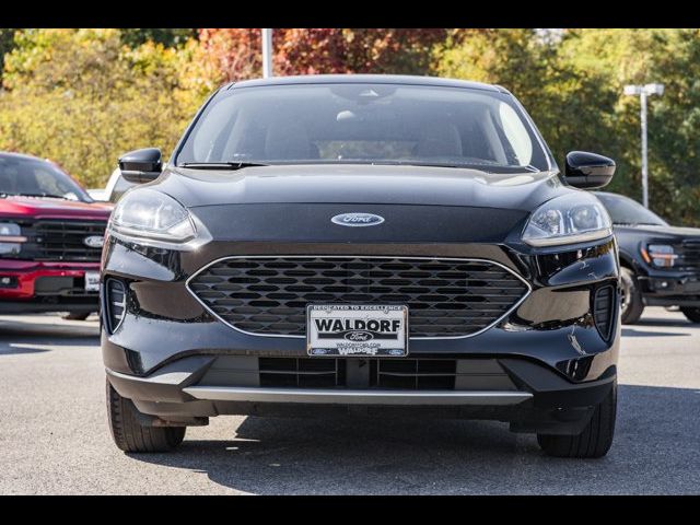 2021 Ford Escape Hybrid SE