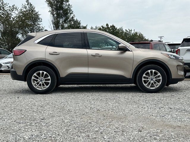 2021 Ford Escape Hybrid SE