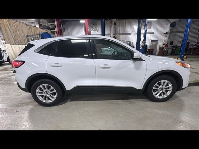 2021 Ford Escape Hybrid SE