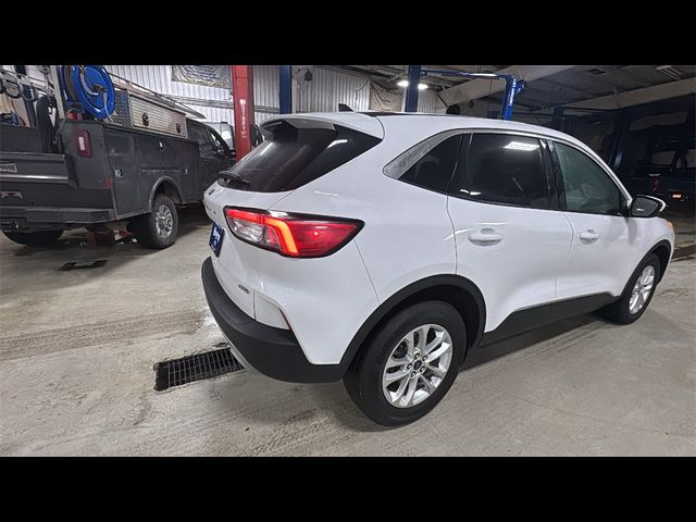 2021 Ford Escape Hybrid SE